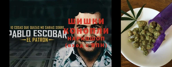 бошки Козельск