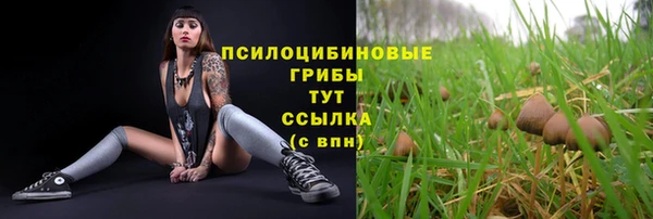 прущий лед Козловка