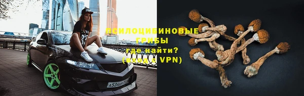 стаф Костерёво