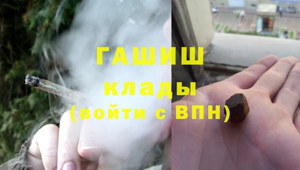 крисы Коряжма