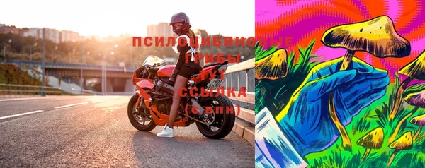 спиды Кодинск
