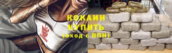 стаф Костерёво