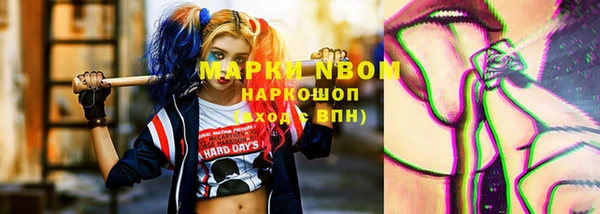 крисы Коряжма