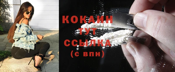 прущий лед Козловка