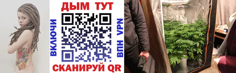 Бошки марихуана планчик  Купить где  Прохладный 